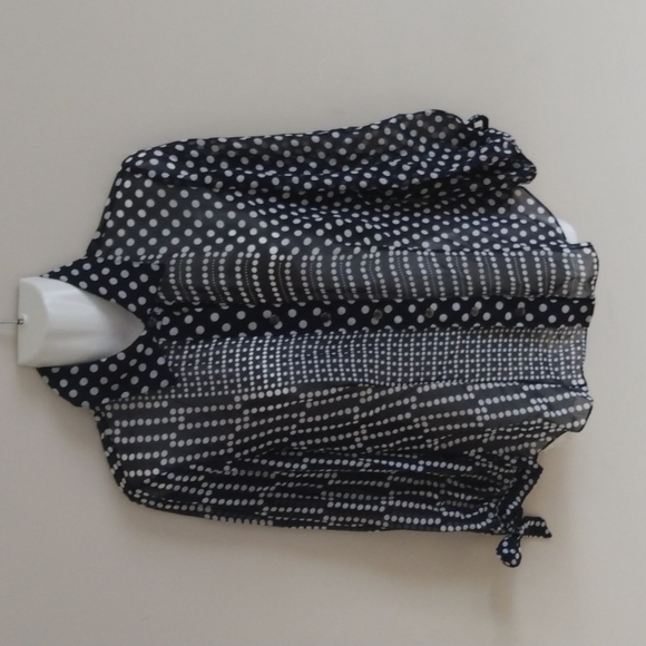 Carlisle Silk Semi-Sheer Blouse - Picture 3 of 10